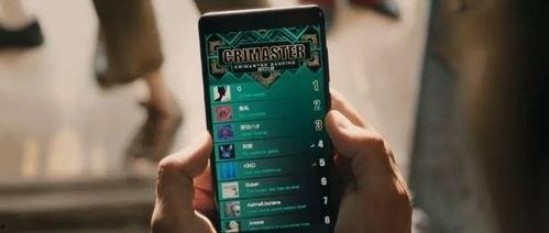 国产高级一级视频,匠心独运，视听盛宴