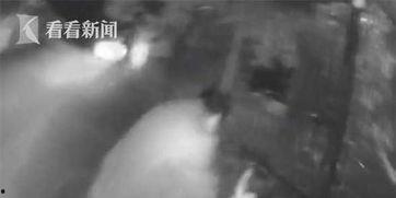 国产女性洗澡视频在线看,揭秘国产女性洗澡视频在线观看现象