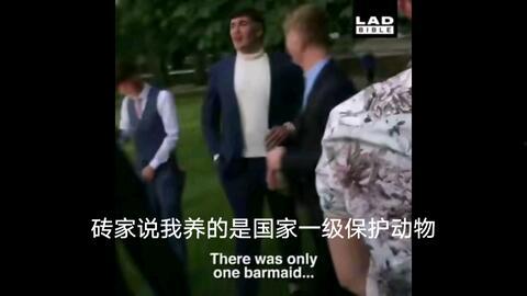 养国产蛇的视频,从视频看生态养殖新篇章  第3张